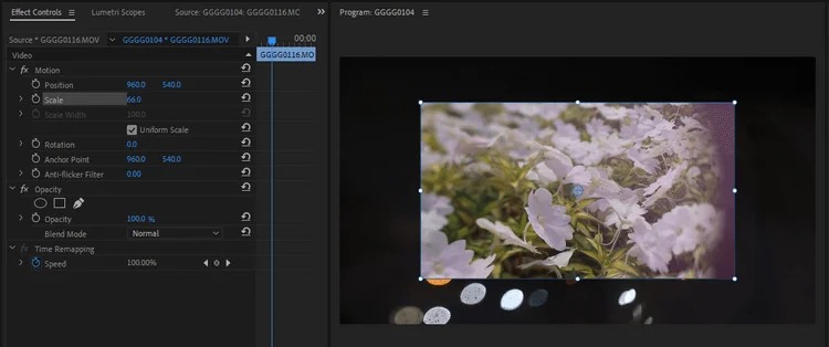 Kako uporabljati učinke v Adobe Premiere Pro
