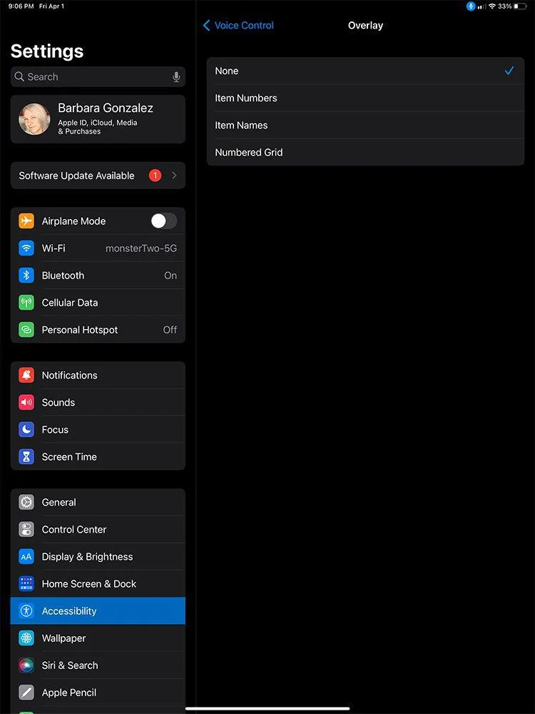 Πώς να ελέγξετε το iPad με φωνητικά χειριστήρια