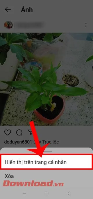 Navodila za skrivanje slik na Instagramu