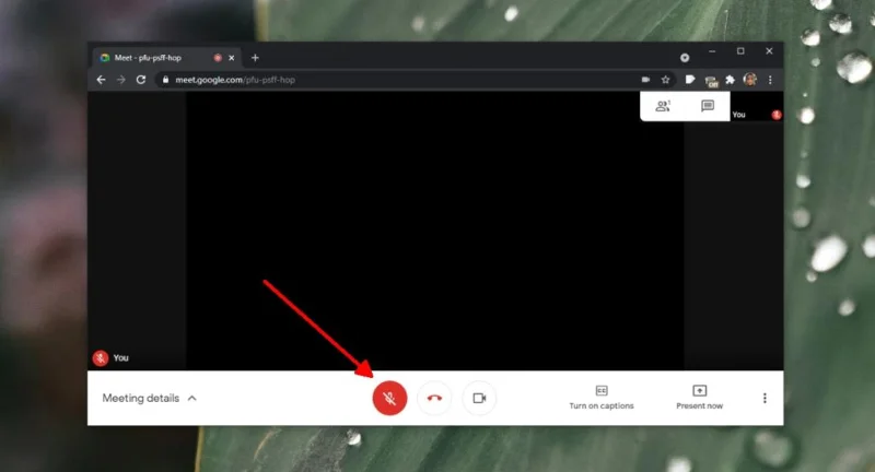 (JAVÍTOTT) A Google Meet mikrofon nem működik, „a hívás nagysága miatt ki van kapcsolva”