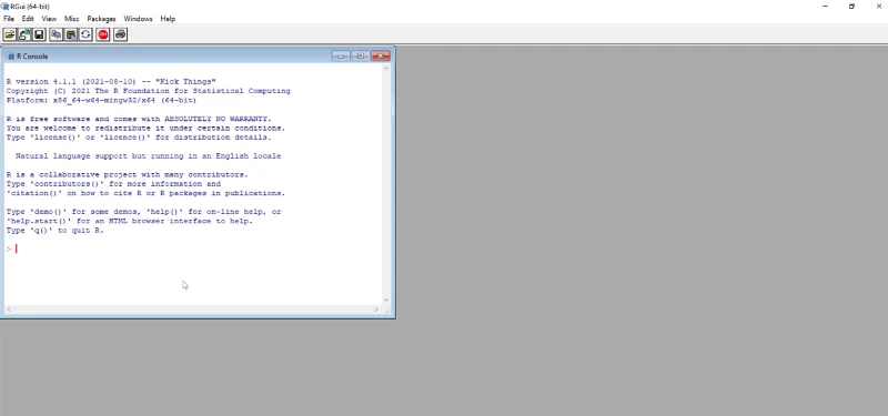 Installer R LuckyTemplates: Downloader R And RStudio