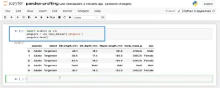 Datasett i pandaer med profilrapport() | Python i LuckyTemplates