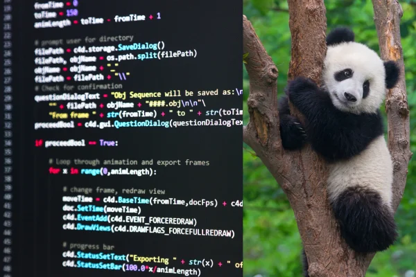 7 måter å sjekke om en Python-streng inneholder en understreng