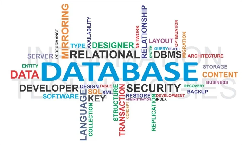 Hva brukes SQL til?  7 beste bruksområder