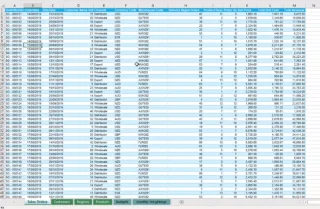 LuckyTemplates-datasett: typer og navnekonvensjoner